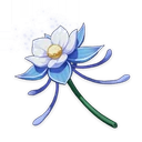 Glaze Lily, ascension material | Genshin Impact