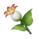 Calla Lily, ascension material | Genshin Impact
