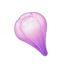 Amakumo Fruit, ascension material | Genshin Impact