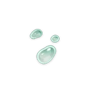 Slime Condensate, ascension material | Genshin Impact