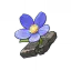 Tiny Miracle artifact set | Genshin Impact