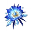 Blizzard Strayer artifact set | Genshin Impact