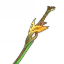 Sapwood Blade, 4★ Sword | Genshin Impact